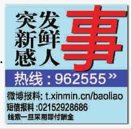 新鲜事最新爆料,新鲜事背后的惊人真相